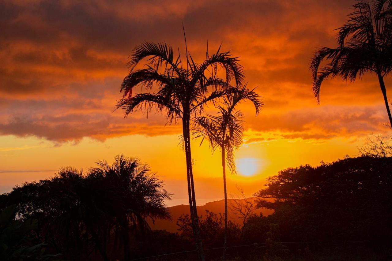 Sunset Monteverde ภายนอก รูปภาพ